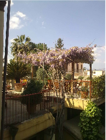 Lefkosia, Residence of Kostas Christodoulou, the roof garden.